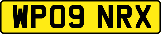 WP09NRX