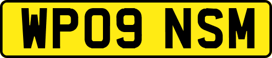 WP09NSM