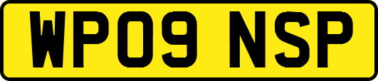 WP09NSP