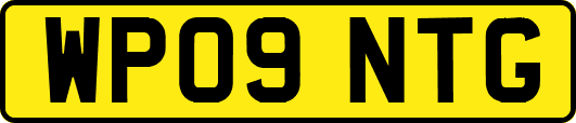 WP09NTG
