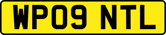WP09NTL