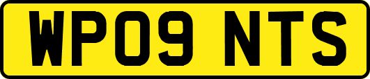 WP09NTS