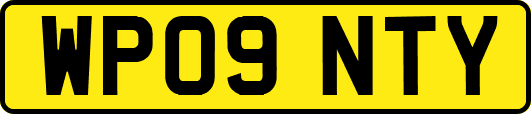 WP09NTY