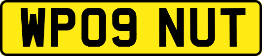WP09NUT