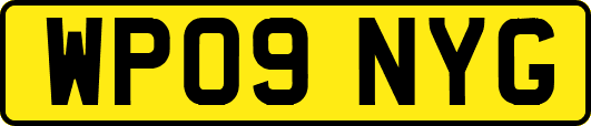 WP09NYG