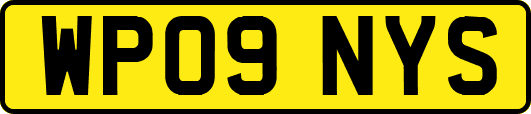 WP09NYS