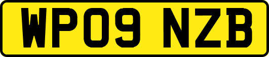 WP09NZB