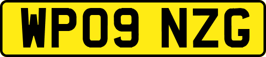 WP09NZG