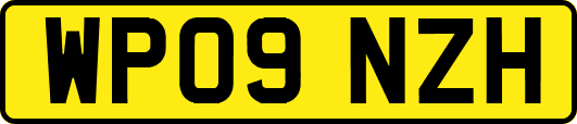 WP09NZH