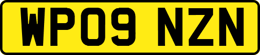 WP09NZN