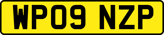 WP09NZP