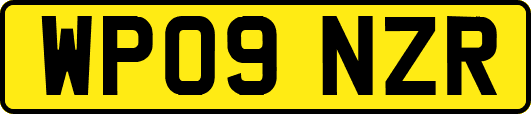 WP09NZR