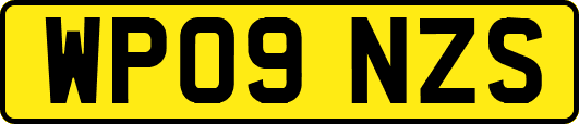 WP09NZS
