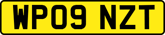 WP09NZT