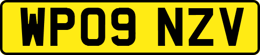 WP09NZV