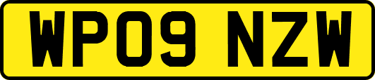 WP09NZW