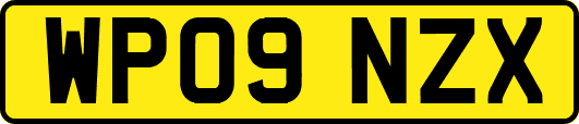 WP09NZX