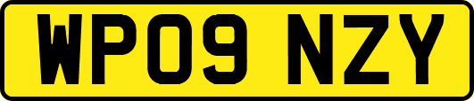 WP09NZY