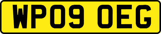 WP09OEG