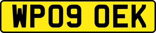 WP09OEK
