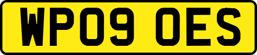 WP09OES