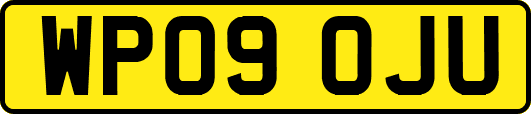 WP09OJU