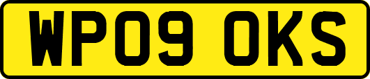 WP09OKS