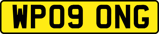 WP09ONG