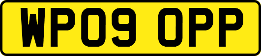 WP09OPP