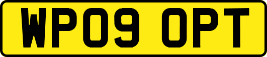 WP09OPT