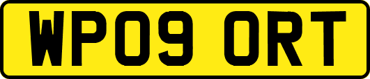 WP09ORT