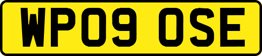 WP09OSE