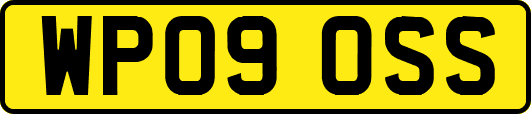 WP09OSS