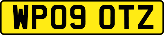 WP09OTZ