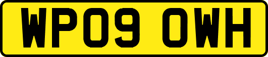 WP09OWH