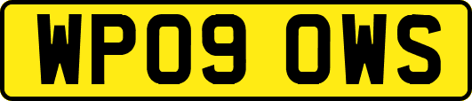 WP09OWS