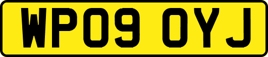 WP09OYJ