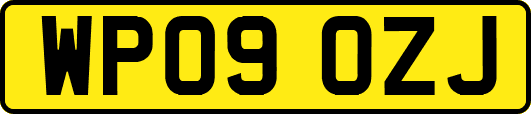 WP09OZJ