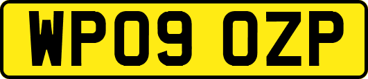 WP09OZP