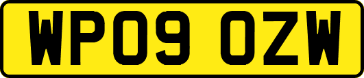 WP09OZW