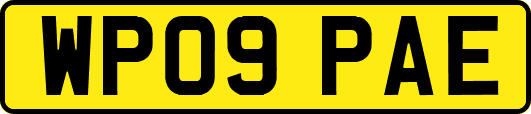 WP09PAE