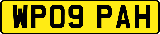 WP09PAH