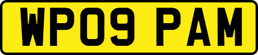 WP09PAM