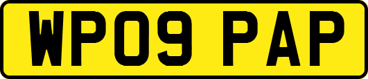 WP09PAP