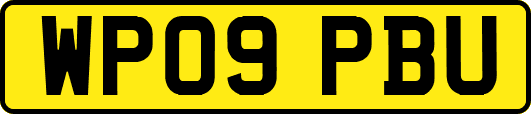WP09PBU