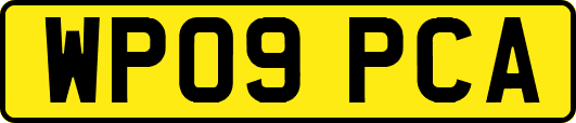 WP09PCA