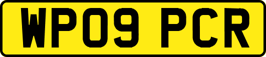 WP09PCR