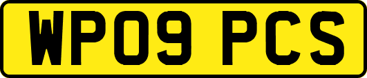 WP09PCS