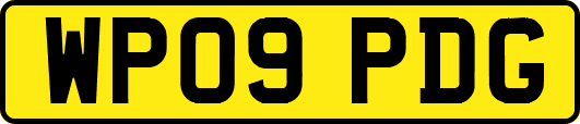 WP09PDG
