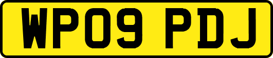 WP09PDJ